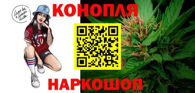 дмт Можга