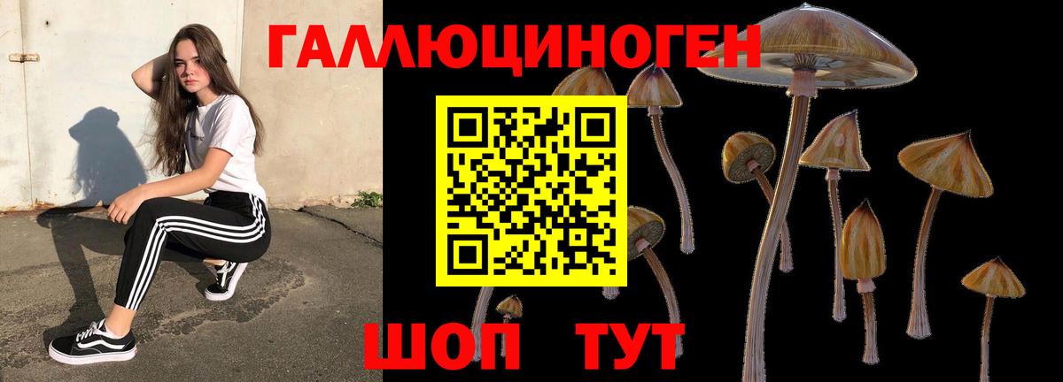 Галлюциногенные грибы прущие грибы Хабаровск